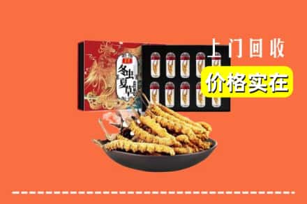 三沙西沙区回收冬虫夏草